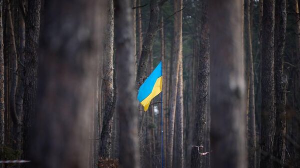 Флаг Украины