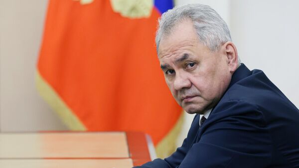 Секретарь Совета безопасности РФ Сергей Шойгу