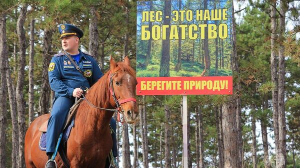 Пожароопасный сезон в Крыму Пожароопасный сезон в Крыму