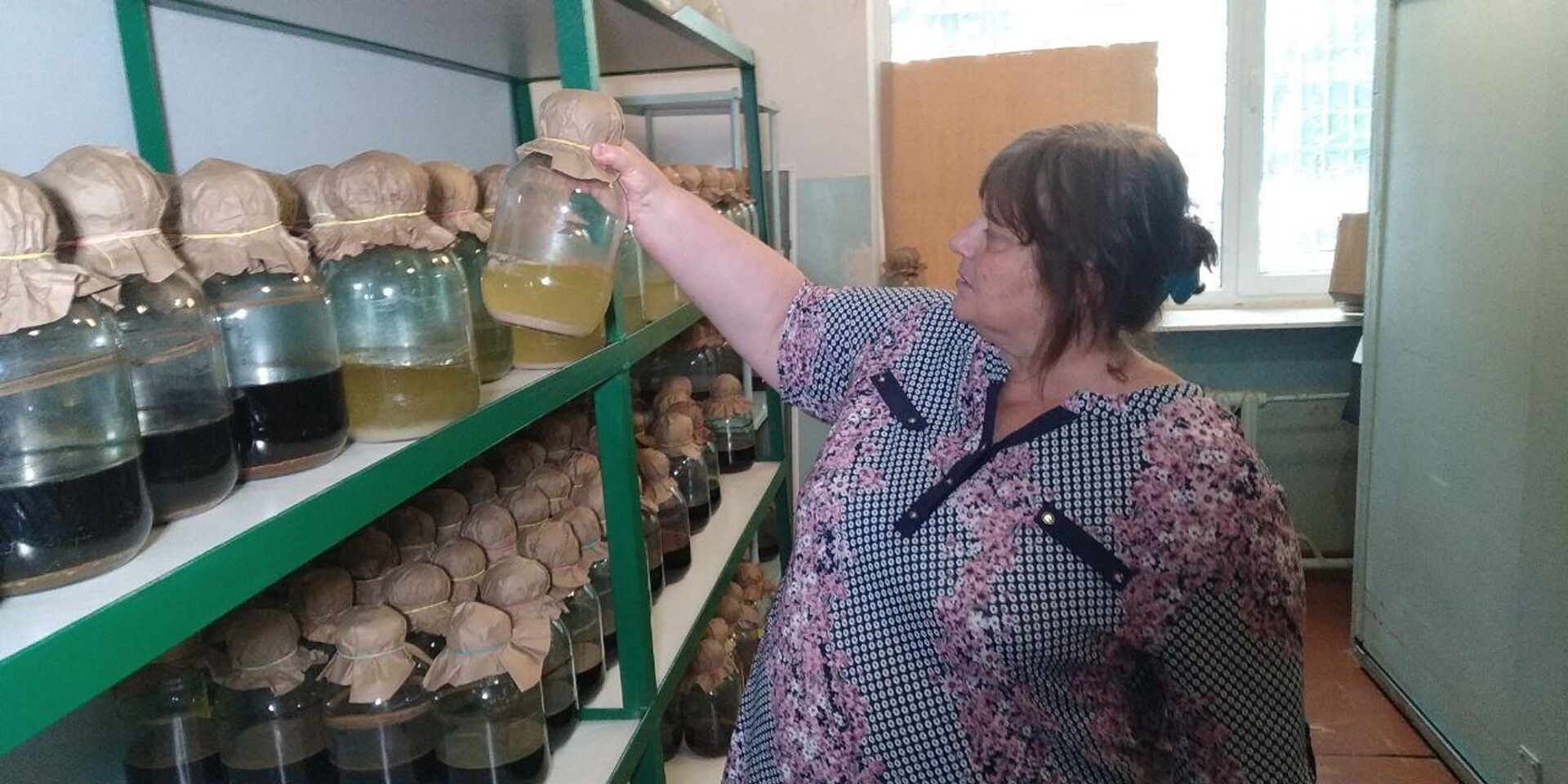 Ученые в Крыму создали биопрепарат для повышения урожайности культур на 20 процентов - РИА Новости, 1920, 14.05.2025